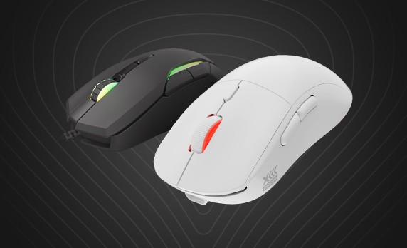 Genesis Ratones