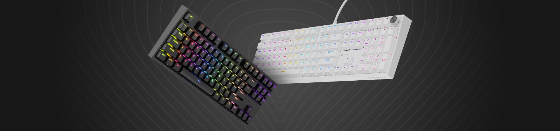 Teclados