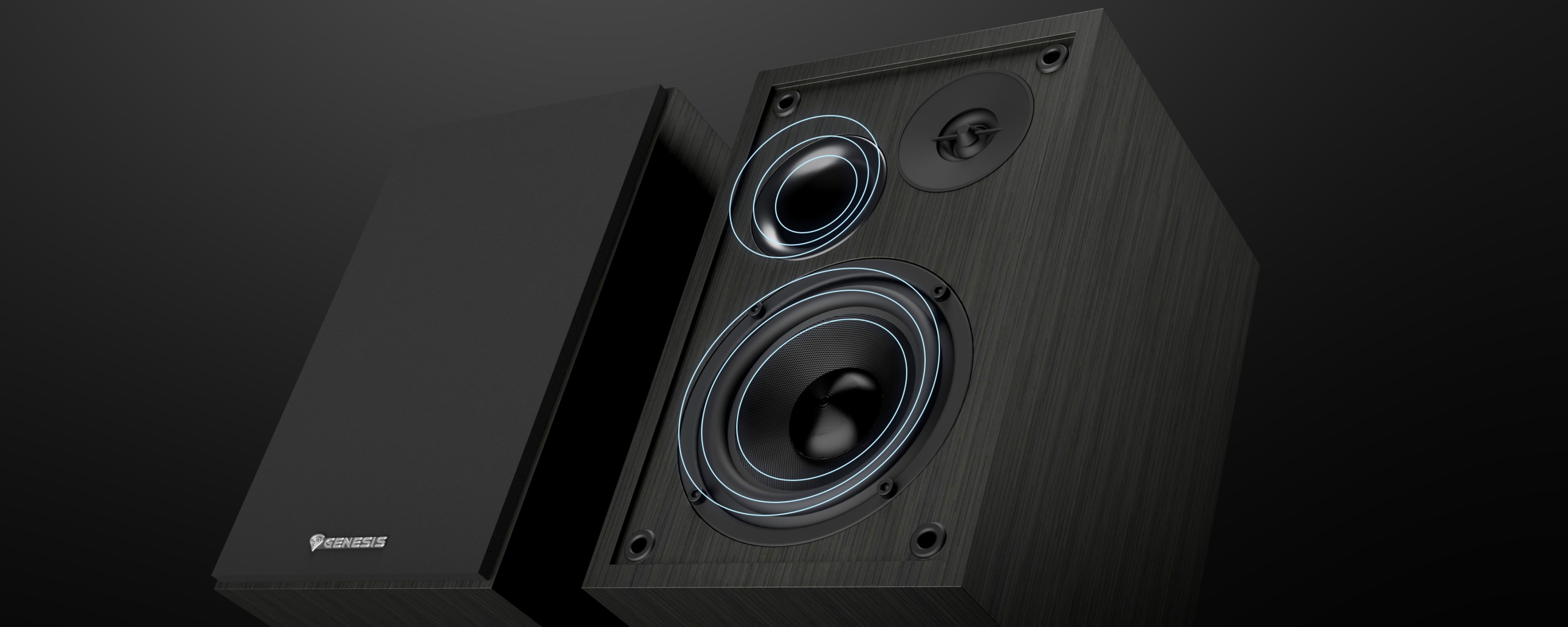 Altavoces Genesis Arsen 302BT 2.0 negros con controladores dobles y diseño elegante, perfectos para disfrutar del audio