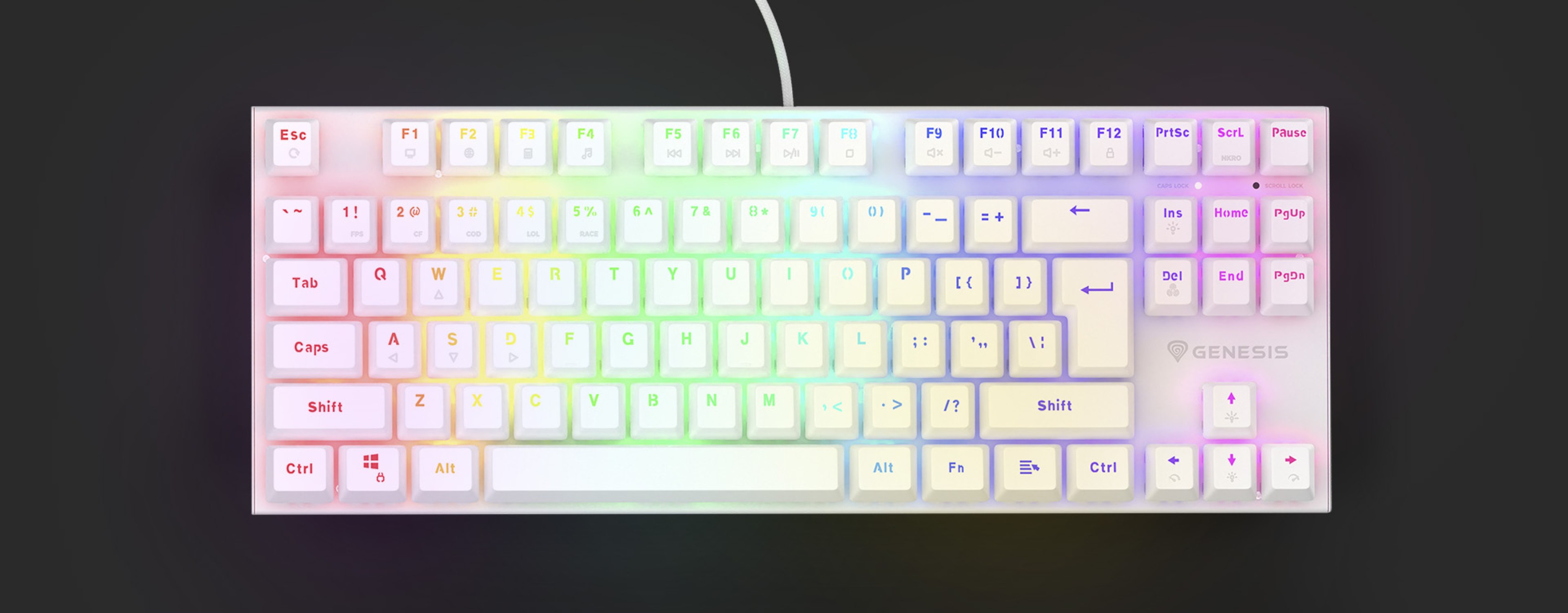 Teclado mecánico blanco compacto con retroiluminación RGB e interruptores marrones intercambiables en caliente. Disposición US