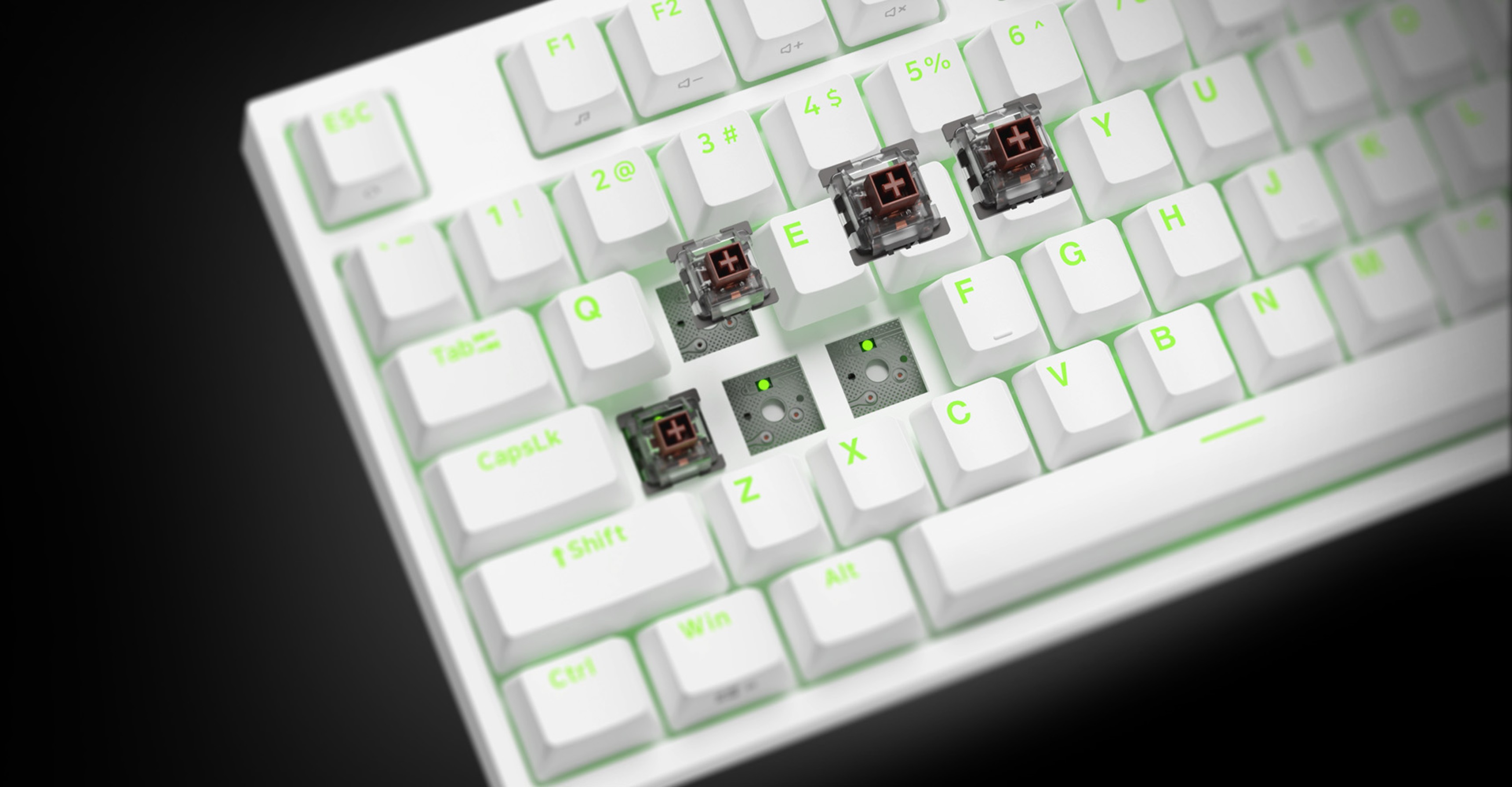 Teclado mecánico Tenkeyless RGB con teclas blancas y retroiluminación verde, que muestra los interruptores Kailh Box Brown