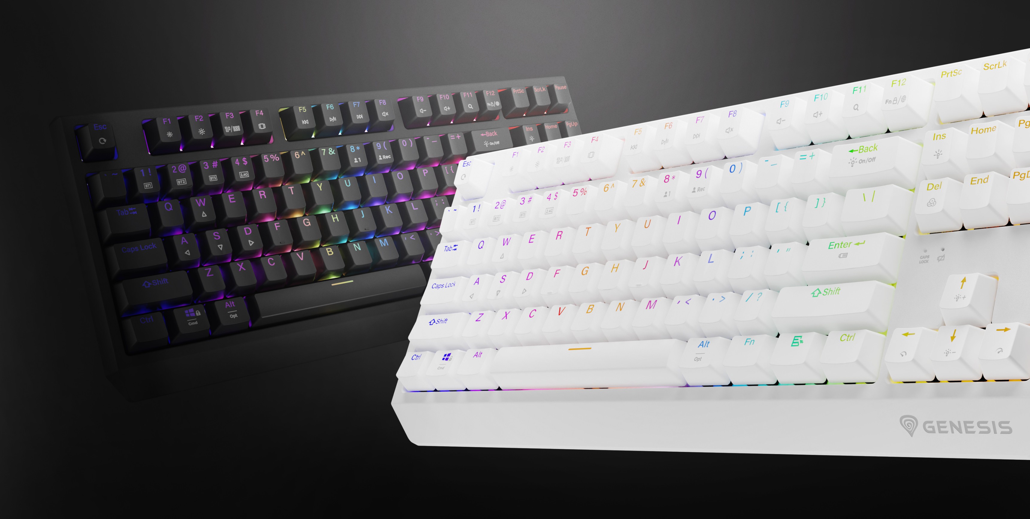 Se muestran dos teclados mecánicos inalámbricos Genesis Thor 230 TKL, uno negro y otro blanco, con efectos de retroiluminación RGB